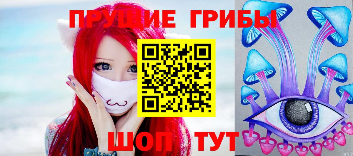 Псилоцибиновые грибы Cubensis Трёхгорный